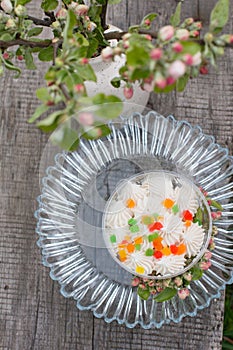 Dessert cake in a glass with cream in nature.