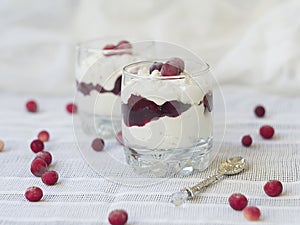 Dessert with cranberries and cream in glass on white table, closeup. Healthy food, diet