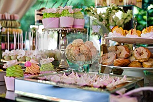 Dessert table for a party. Candy bar. Rich thematic wedding candy bar high variety of sweets