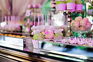 Dessert table for a party. Candy bar. Rich thematic wedding candy bar high variety of sweets