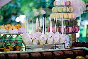Dessert table for a party. Candy bar. Rich thematic wedding candy bar high variety of sweets