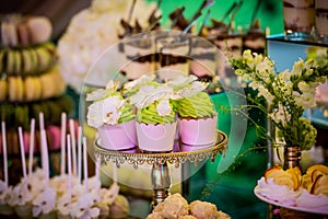 Dessert table for a party. Candy bar. Rich thematic wedding candy bar high variety of sweets