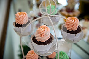 Dessert table for a party Candy bar. Rich thematic wedding candy bar, high variety of sweets