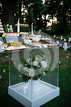 Dessert table for a party Candy bar. Rich thematic wedding candy bar, high variety of sweets