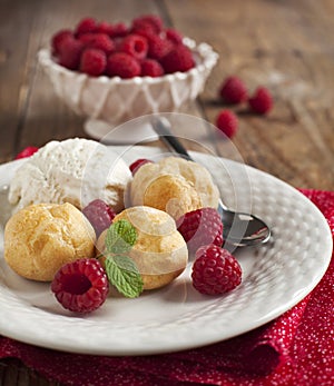 Dessert with Vanilla Ice Cream and Puff pastry filled with dairy cream