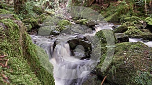 Blurred water cascading over moss covered rocks in the Black Forest, Germany