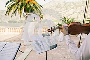 Destination wedding arch
