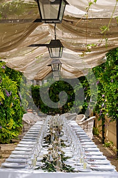 Destination wedding dinner set up under a pergola and wisteria.