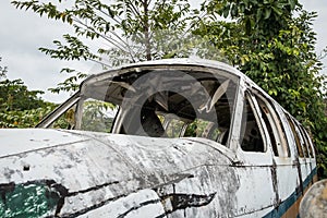 Destroyed airplane cockpit in jungle - old propeller aircraft i