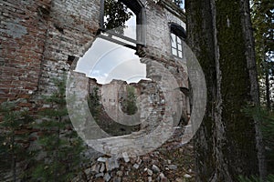 Destroyed brick wall of an old building, arched Windows, view from the outside, in the forest