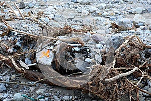 Destroyed Car In River