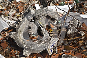 Destroyed Chinese ornament