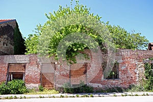 Destroyed house as war aftermath in Pakrac, Croatia