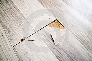 Destroyed Laminate Floor