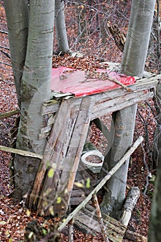 Destroyed old outhouse