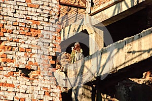 The destroyed plant.