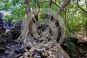 Destroyed by the rapid growth of trees and plants in the jungle. Ruins of the Temple Beng Mealea, Angkor, Siem Reap.