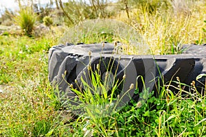 Destroyed rubber car tire on grass