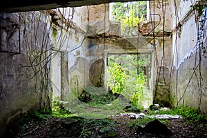 Destroyed by war,overgrown ruins of apartment house in Tquarchal