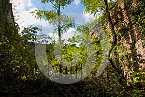 Destroyed by war,overgrown by trees and ivy ruins of apartment house in Tquarchal