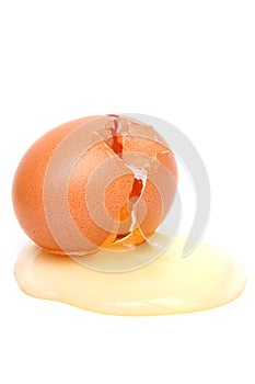 Destructed egg