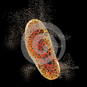 Destruction of bacterium, conceptual 3D illustration