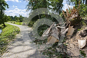 Destruction on the bike path after the hurricane winds