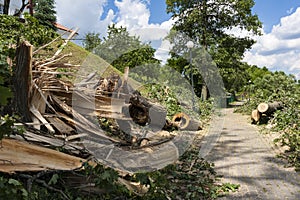 Destruction on the bike path after the hurricane winds