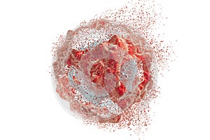 Destruction of cancer cell