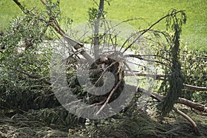 Destruction and devastation caused by floods