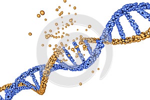 Destruction of DNA, damaged DNA photo