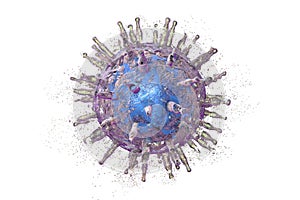 Destruction of Epstein-Barr virus