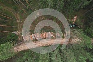 Destruction of forests and felling of trees. Environmetal and ecological issues. Forest harvester during sawing trees in a forest