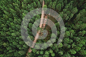 Destruction of forests and felling of trees. Environmetal and ecological issues. Forest harvester during sawing trees in a forest