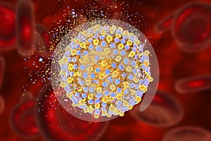 Destruction of hepatitis C virus