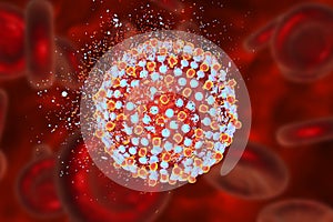 Destruction of hepatitis C virus