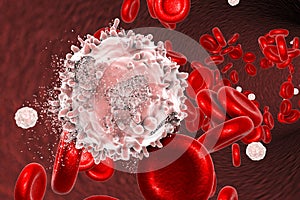 Destruction of leukaemia cell