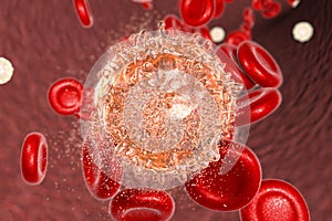 Destruction of leukaemia cell