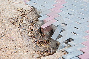 Destruction of the pavement. Deep hole on the edge of the sidewalk. Soil erosion. Traces of water flow during rain. The