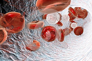 Destruction of red blood cells photo