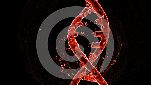 Destruction Red DNA Double Helix Isolated on Black Background with Copy Space 3D Illustration