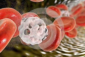 Destruction of white blood cells photo