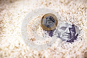 Detail of a 100 dollar bill and one brazilian real coin, on white rice, concept of agribusiness and export or import of rice