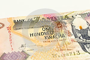 Detail of a 100 zambia kwacha bank note