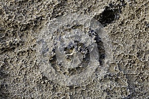 Detail of abstract brown stone texture. For, background, textures, product designs. Natural background to be used in old architect