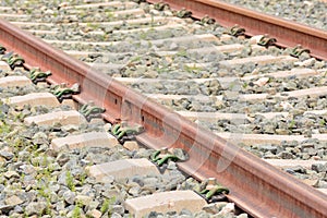 Detail of the track of a conventional train photo