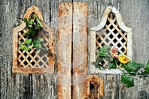 Detail of ancient door detail with flower