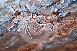 Detail of aragonit mineral at Ochtinska Aragonitova jaskyna cave