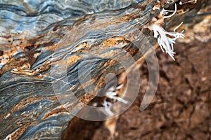 Detail of aragonit mineral at Ochtinska Aragonitova jaskyna cave