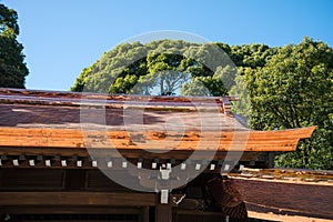 Detail architecture of Meiji-jingu shrine in Harajuku, Tokyo